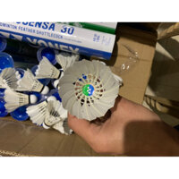 Quả cầu lông tập luyện A30
