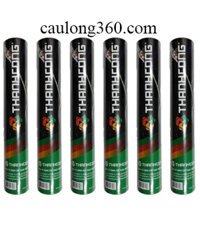 Quả cầu lông thành công xanh | Thích hợp với mọi loại sân trong nhà