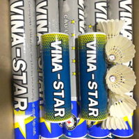 Quả cầu lông Vina Star tập luyện | Tận Hưởng Sự Tiến Bộ Tập Luyện