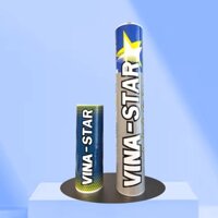 Quả cầu lông Vinastar Bạc(Hộp 6/12 quả) , Hàng phân phối chính thức - [𝗛𝗔̉𝗜 𝗡𝗔𝗠 𝗦𝗣𝗢𝗥𝗧]