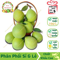 Quả Combo 5 Trái Bưởi Nhỏ Giả (12x10 cm) Giống Thật 99% - Trang trí, Decor, Chụp Ảnh