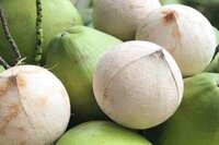 Quả dừa tươi gọt vỏ – quả