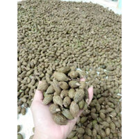 quả đười ươi