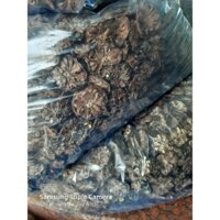 Quả nhàu khô thái lát- Bột nhàu xao vàng