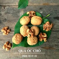 QUẢ ÓC CHÓ ( WALNUTS )  - 1KG