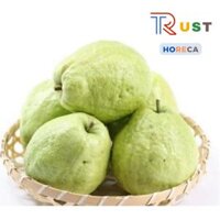 Quả Ổi Giòn Ngọt