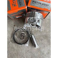 Quả Piston xéc măng máy cày 173F