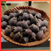 QUẢ SIM RỪNG-QUẢ SIM NGÂM RƯỢU 1KG