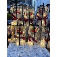 QUÀ TẶNG 20/10 HỘP HOA MIKA SZ NHỎ