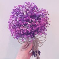 Quà tặng bó hoa baby khô chụp kỉ yếu, chụp ngoại cành, hoa cưới siêu đẹp siêu bền