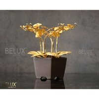 Quà tặng chậu hoa lan hồ điệp 6 cành dát vàng 24K KT 19x17x17cm