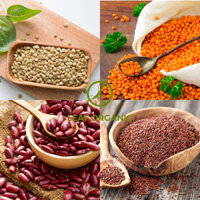 QUÀ TẶNG - Đậu lăng xanh, lăng đỏ cam san hô, đậu đỏ kidney, diêm mạch đỏ hữu cơ Markal
