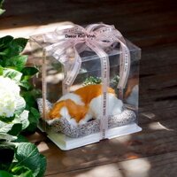 Quà Tặng Dịp Lễ Hộp Quà Mô Hình Chó Mèo Lõi Than Hoạt Tính