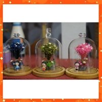 QUÀ TẶNG ĐỘC ĐÁO_Chụp thuỷ tinh hoa khô và nhóc Maruko nhỏ