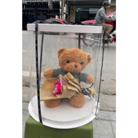 Quà tặng hoa gấu. gấu bông quà tặng đựng trong hộp mika