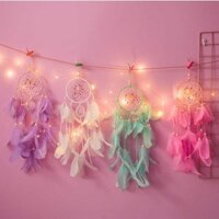 Quà tặng lông vũ ĐÈN LED TRANG TRÍ
