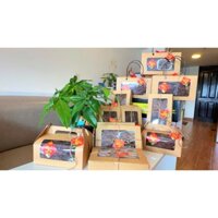 Quà tặng Nho khô nguyên cành ÚC (400gr/h, 500gr/h, 800gr/túi, 1kg/túi quay đen)