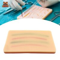 Quà tặng thực tế cho sinh viên y tế Đào tạo Pad tập luyện đa năng Mô hình da