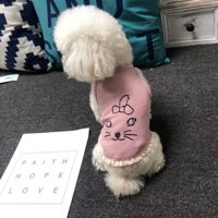 Quần Áo cho chó mùa hè Áo vest mỏng cho thú cưng Teddy Bichon Bomei Quần jean hàng ngày Quần áo cho mèo