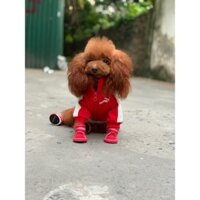 Quần áo chó mèo [ áo nỉ Puma ] 065