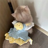 Quần áo mèo gấu trúc dâu tây, váy cho chó con gà nhỏ màu vàng, dây treo bằng ren denim, khóa kéo, dây nịt thú cưng Thái