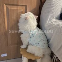 quần áo mèo mỏng mùa hè dễ thương ragdoll mèo treo chống rụng tay không tay teddy pomeranian chó quần áo thú c