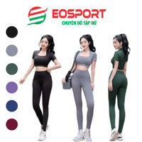 Quần Áo Tập Gym Nữ Cao Cấp, Bộ Tập Gym Yoga Aerobic Nữ Có Tay Chất Đẹp Bgm365 (D01)