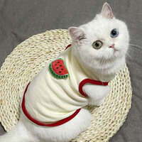 Quần Áo Thú Cưng Mùa Xuân Thu Mỏng Teddy Bichon Pomeranian Mèo Schnauzer Quần Áo Cho Chó Mùa Hè Nhỏ Áo Vest