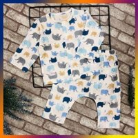 Quần áo trẻ em TÍT MÍT BABYXO bộ dài size XL