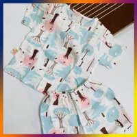 Quần áo trẻ em TÍT MÍT BABYXO bộ ngắn size L