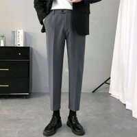 Quần Âu Nam Vải Trượt Vinteck Menswear Pants