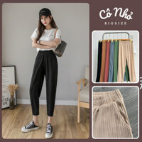 Quần Baggy Bigsize Nữ 9 Tấc Lưng Chun Co Giãn Có Túi Hai Bên Vải Thun Gân Cá Tính Q18