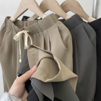 Quần baggy nữ cạp chun, quần tây nữ cạp chun dây rút vải Ruby hàn cao cấp