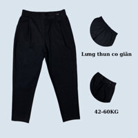 Quần baggy nữ lưng thun chất vải umi co giãn ms89088