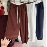 Quần Bo Gấu Nữ Chất Nỉ Dày Dặn Pha Cạp Màu ,Quần Jogger Mùa Đông