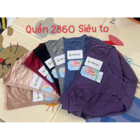 Quần chip cotton vừa và to rộng cho người già và nữ trung niên