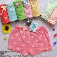Quần chip đùi bé gái 0552 ( Lố 10 chiếc )