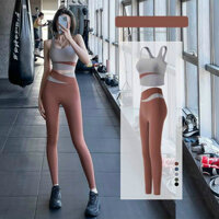 Quần Dài Áo Bra Tập Yoga Gym Nữ Thun Lạnh Cao Cấp