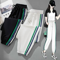 Quần dù lưng thun bo gấu