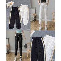 Quần dù lưng thun jogger