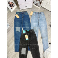 Quần jean rách gối ( 3 màu)