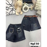 Quần jeans ngố bigsize NỮ THẢO MINHON quần jeans ngố co giãn 4 chiều (50) 60-100kg