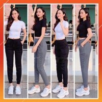 Quần jogger len tăm bo gấu nữ 💕Free Ship💕 quần nỉ jogger len tăm quần nữ TED11