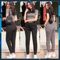 QUẦN JOGGER LEN TĂM THỂ THAO DÀY ĐẸP 241