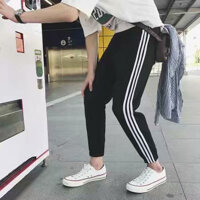 quần jogger n m C Su L P NTS M Le KORE N Phiên Bản Củ Xu Hướng Sinh Viên H RL N P NTS Quá Khổ P NTS P NTS P NTS F T B Ggy P NTS