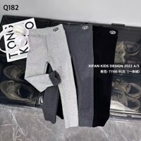 Quần legging lót nỉ dòng đại