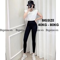 Quần legging nữ Bigsize dài nâng mông cạp cao chất thun cao cấp co giãn cực tốt