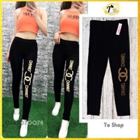 Quần legging nữ - thun nữ in Cn Vàng [ảnh + video thật]