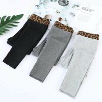 Quần len legging