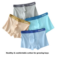 Quần lót boxer nam CLASSYAMY vải cotton 3D hình chữ U cho đồ lót tuổi teen, nhiều gói